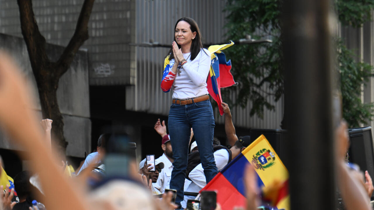 Venezuela opposition claims elusive leader briefly detained in Caracas protest